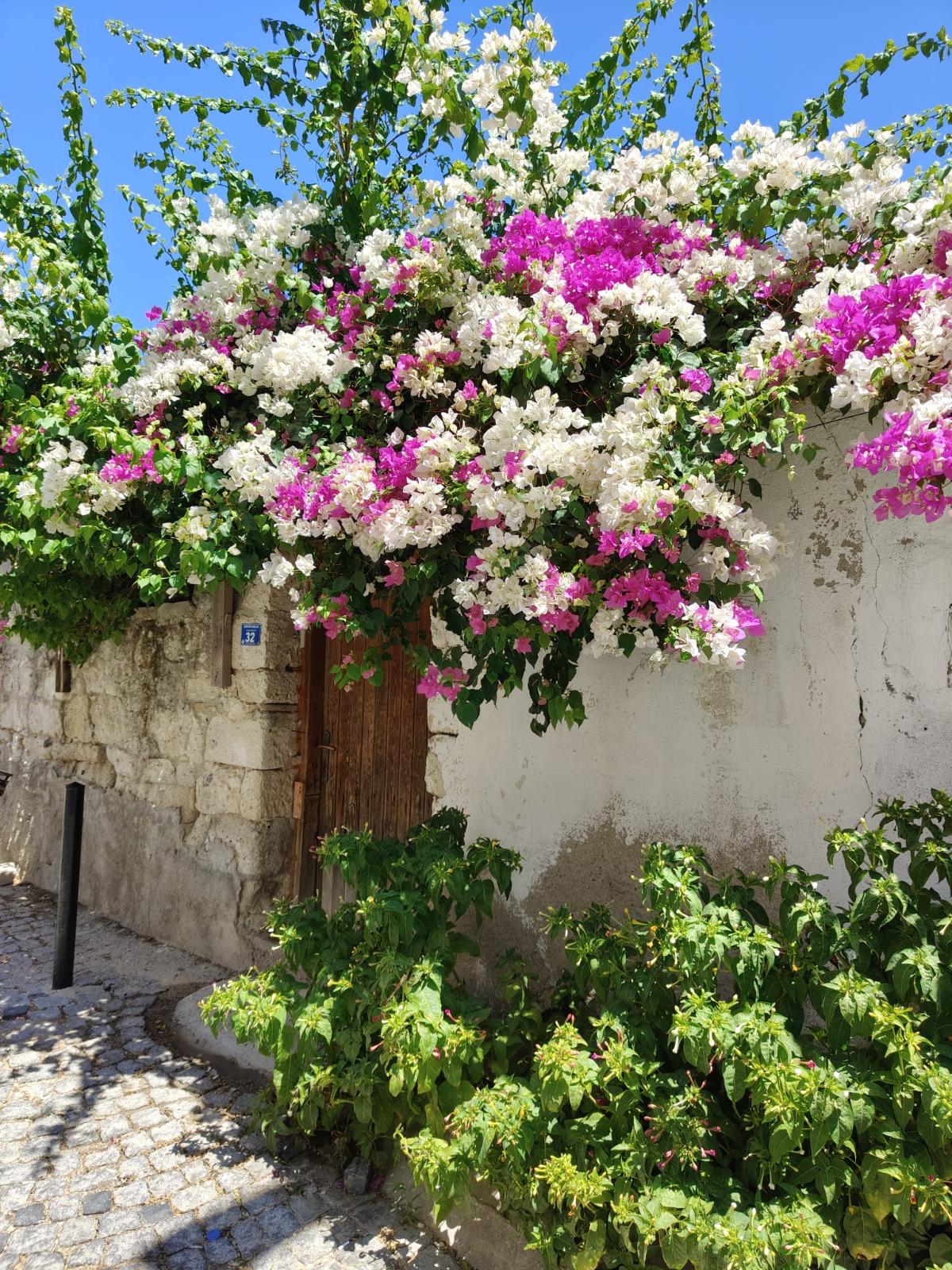 Alaçatı | Ariel Hotel​